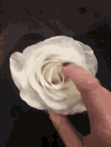 finger-flower.gif