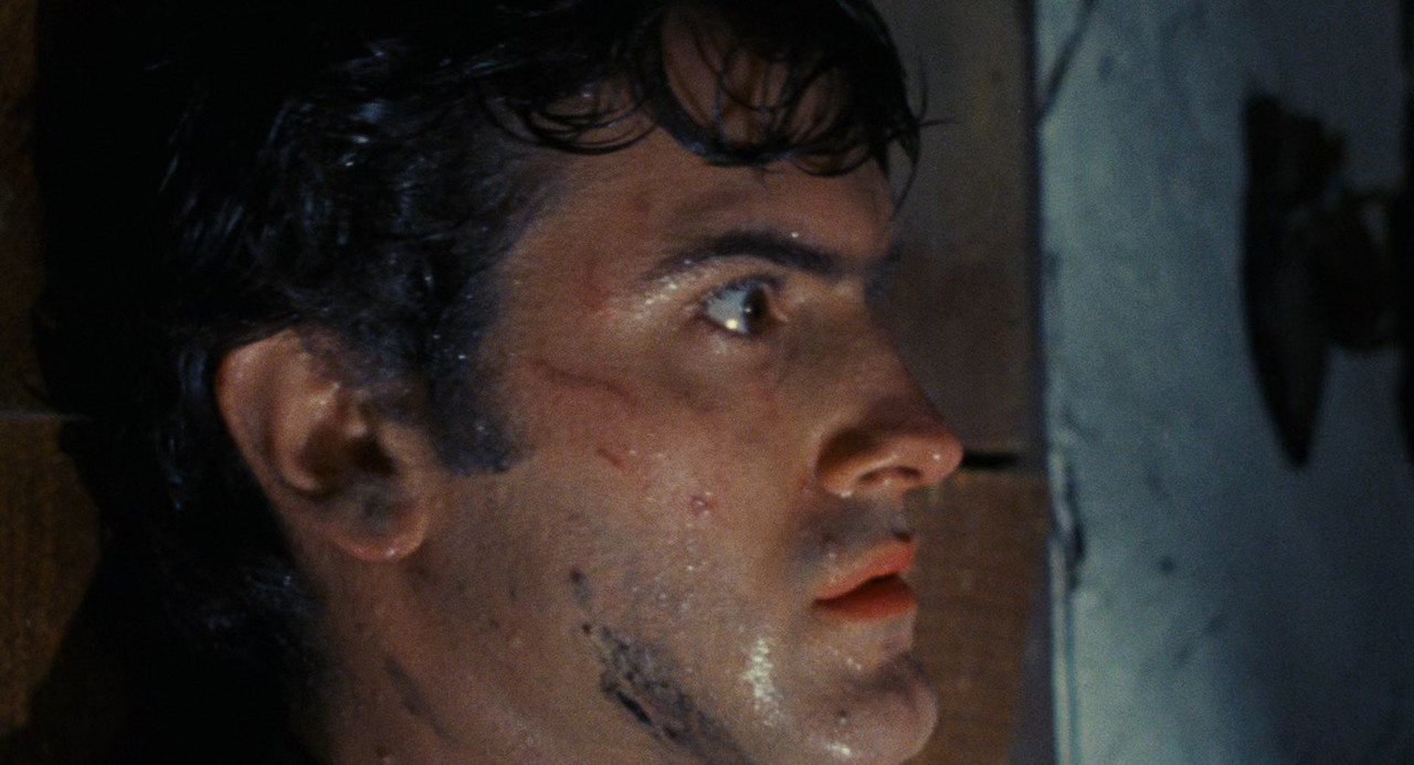Evil Dead 1981 (1080p x265 10bit Tigole).mkv_snapshot_01.14.41_[