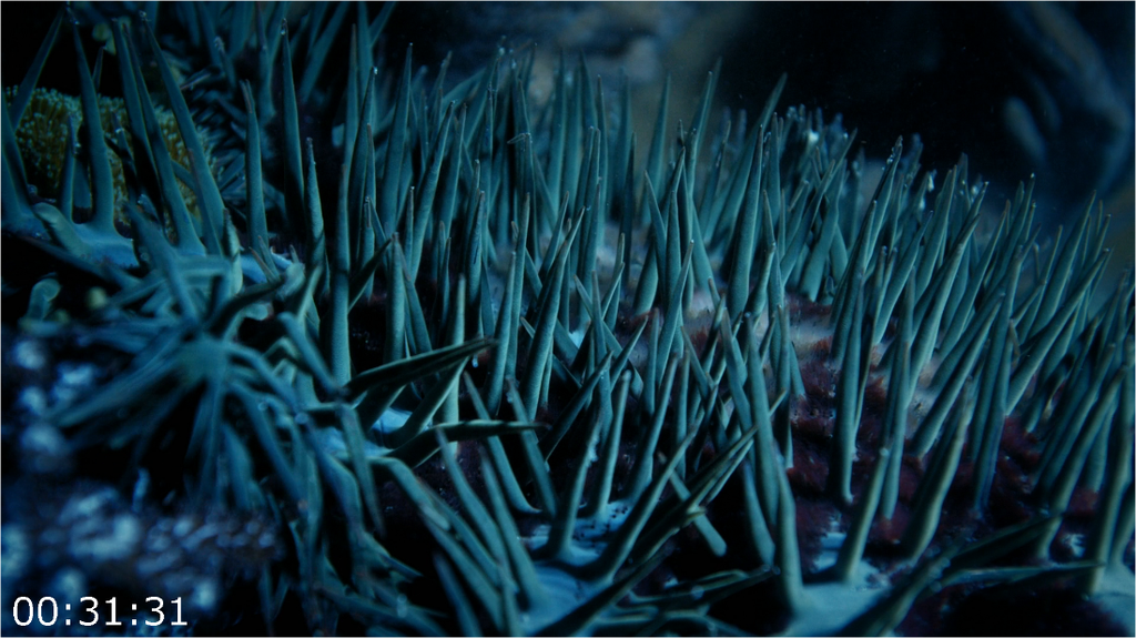 [Image: 6v0xlubqhr22.png]