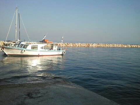 Slika