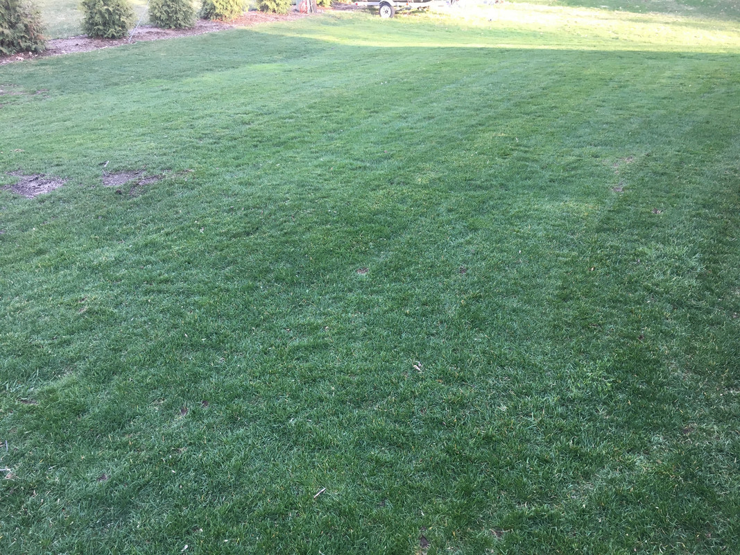 B94D2376-BDA5-46D5-995B-CABBCE6894EB