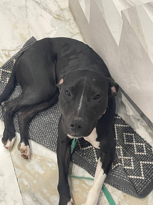 49B293EC-E82A-4463-9A91-59BFA1979673