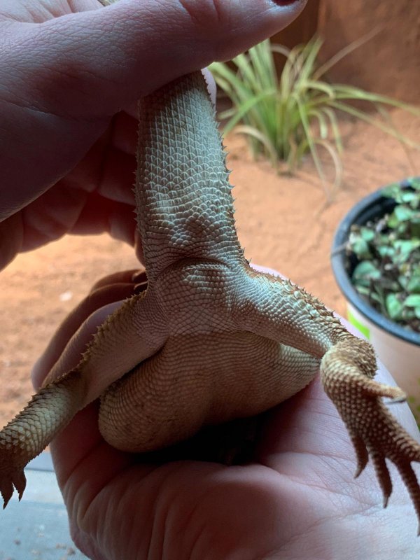 8FE786F2-4E17-4D92-B183-C58D781FFC7A