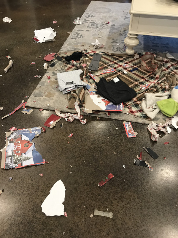 E23C2838-485C-4EB8-BCBE-1A2EC753384D