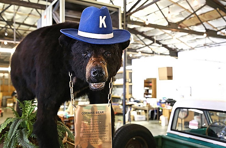 COCAINE-BEAR-FOTOR.jpg