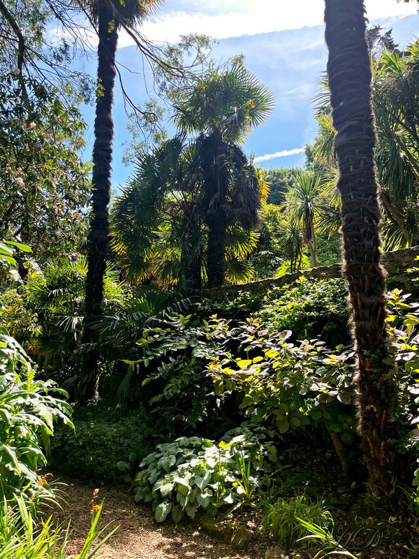 tree-abbots-HD-copy.jpg
