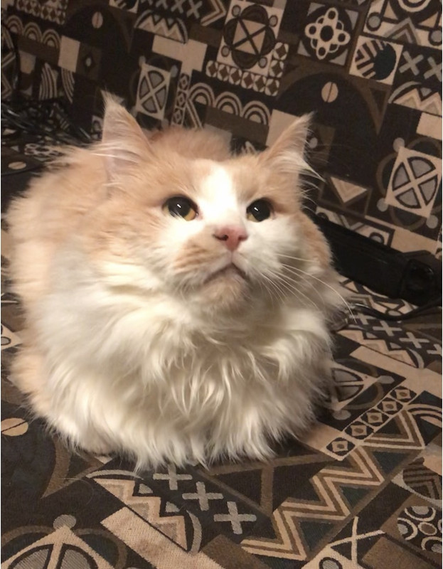 F9AE00AF-0A66-409A-82B1-FBB9C8B41D8B