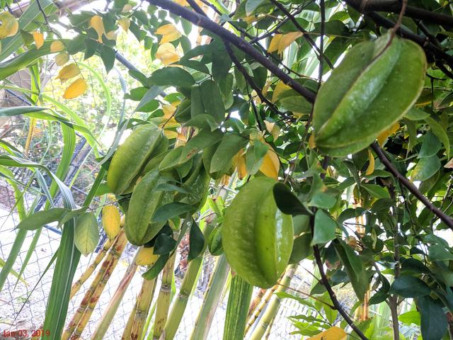 [Image: IMG-20190103-173231.jpg]