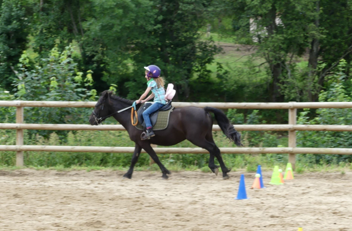 P1090777.jpg