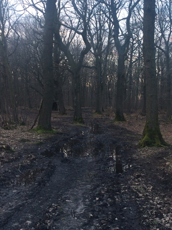 E093662A-A454-49DC-97D1-123E551C26E7