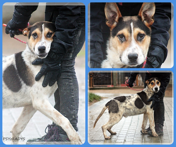 BeFunky-collage (16)