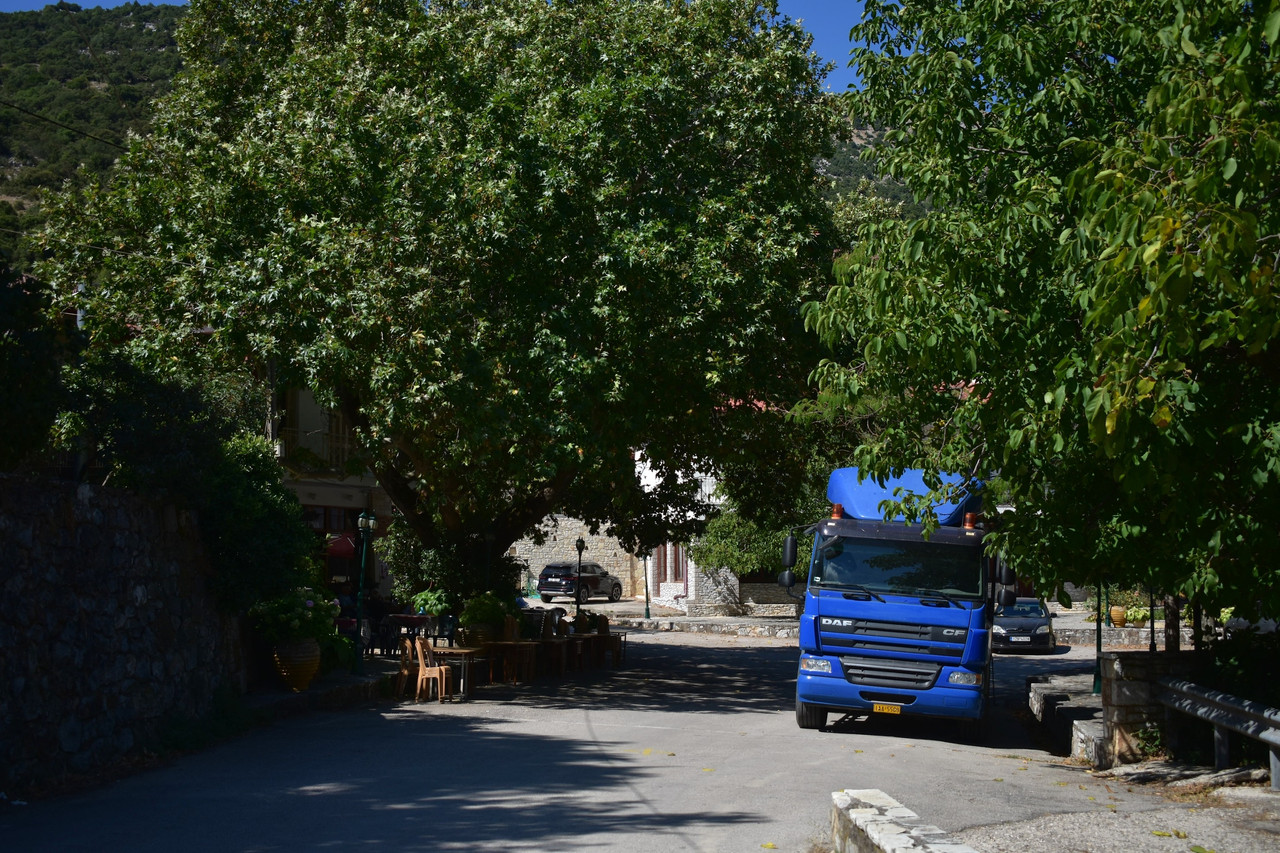 Καρυά (8)