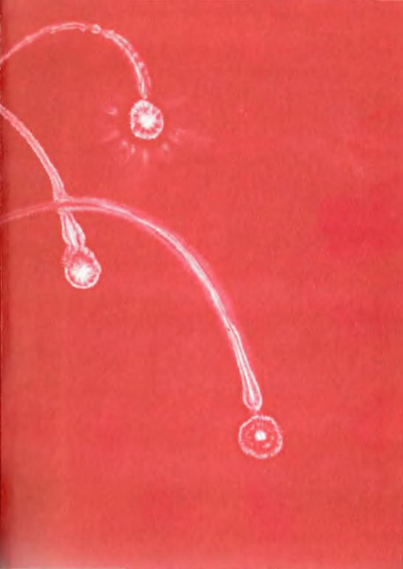 p0003