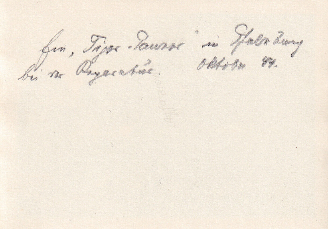 1x Foto Panther Ausf. G   Zemmerit Salzburg 1944 Endkampf Panzer Turmnummer 420 (1)