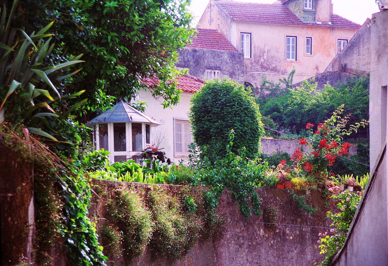 p1.jpg