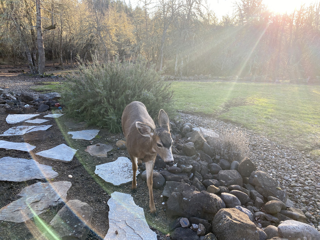 F9FF59D8-64A2-4760-9152-F6606BB9BD4B