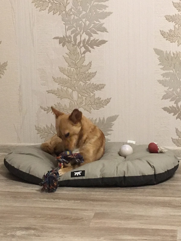 IMG-b6d2004a58582058825129acccdb5b76-V