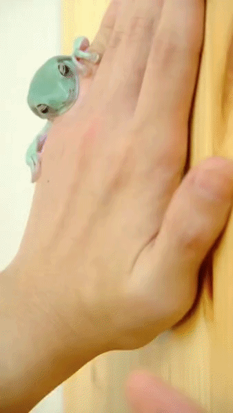 ezgif-1f31532c1ad633a6.gif