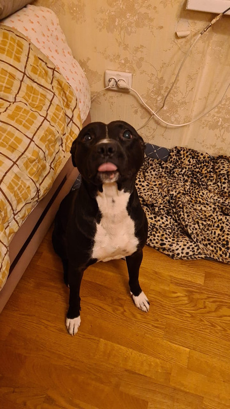 16628F7F-2032-48AF-8CCE-CBC979FFCF48