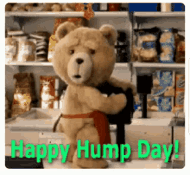 hump-day-happy.gif