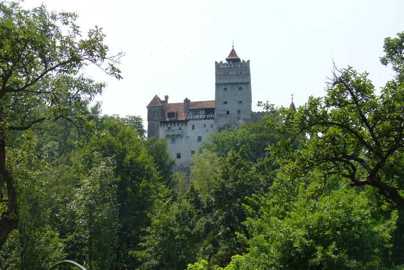[Obrazek: P1160161.jpg]