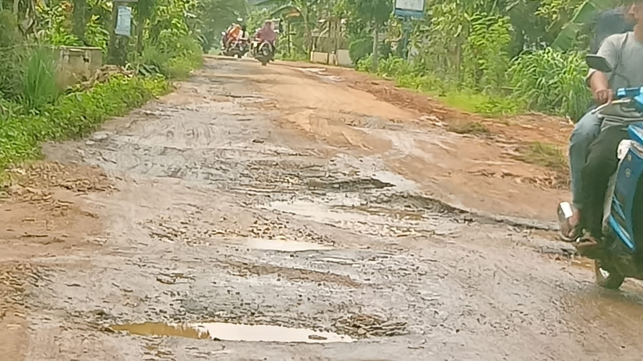IMG-20220507-WA0041 Miris! Sepanjang Jalan Sukoharjo Banyumas Kabupaten Pringsewu Bak Kumbangan Kerbau