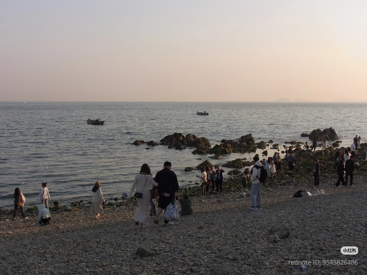 photo 4 2025 12 14 21 56 06