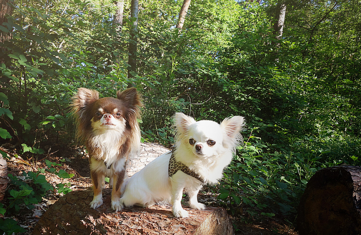 Lumii_20210610_104454268