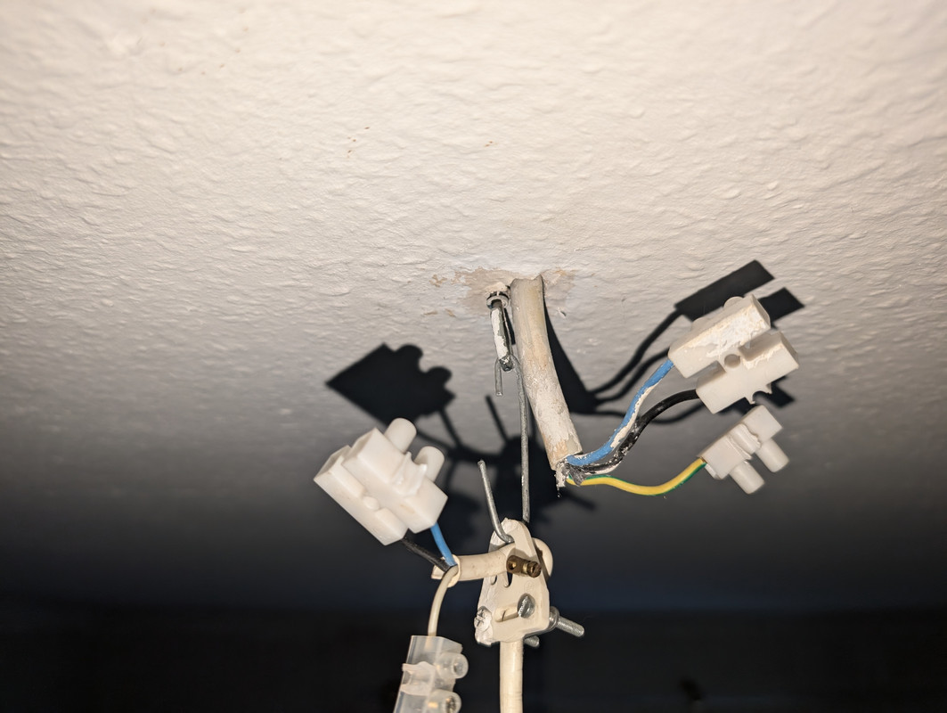 [Bild: PXL-20250817-173115679.jpg]