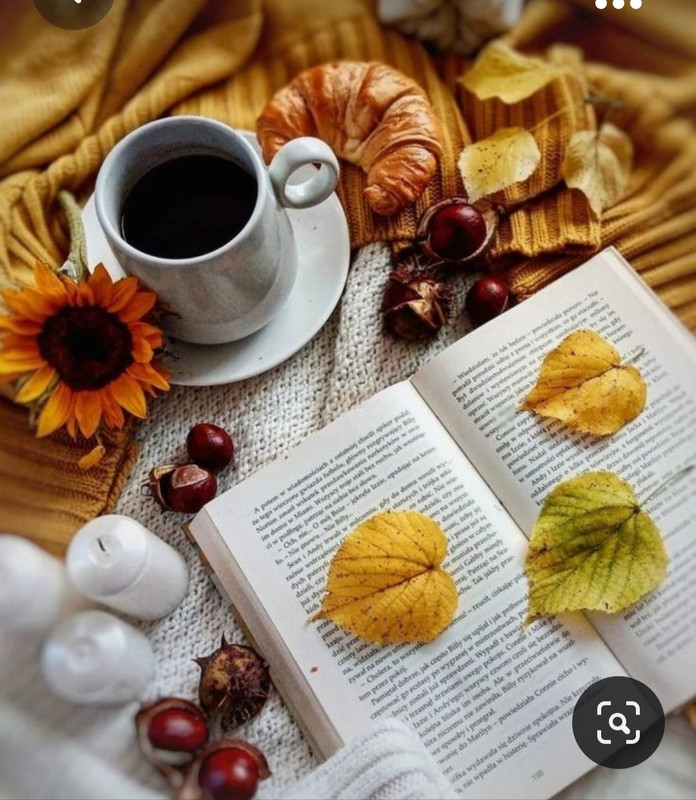 Screenshot_20231031_214828_Pinterest