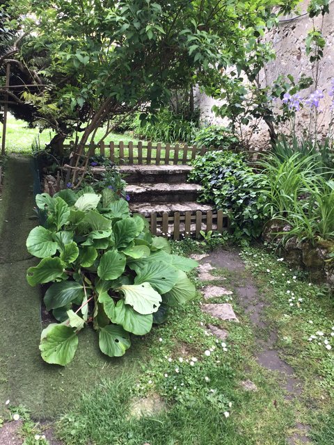 [Image: 8-B95-A4-B5-F8-FF-4376-BD5-C-F3343-E770002.jpg]