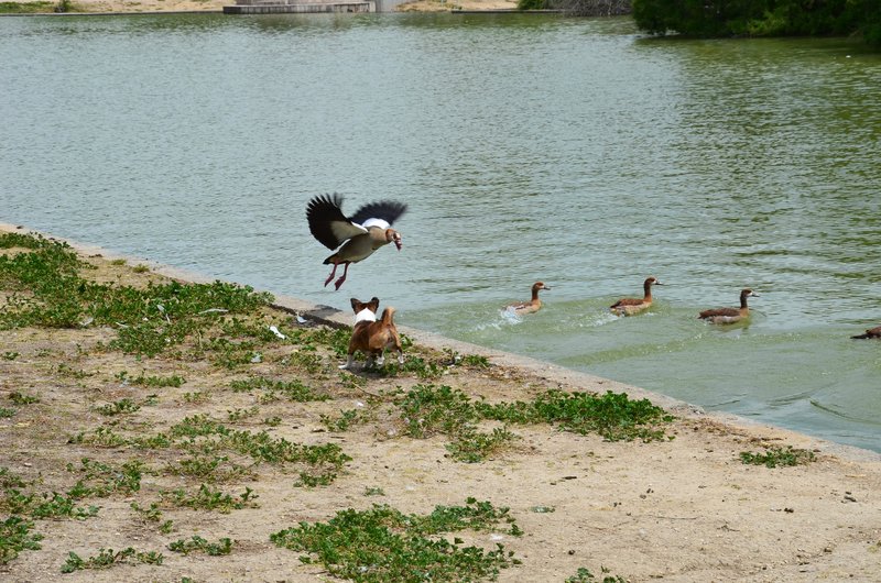 PARQUE DE POLVORANCA-2016/2022-MADRID - Paseando por España-1991/2016 (18)