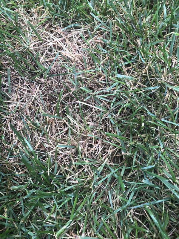 B40CDCD5-1064-484E-A0B8-2C70F2A226C6