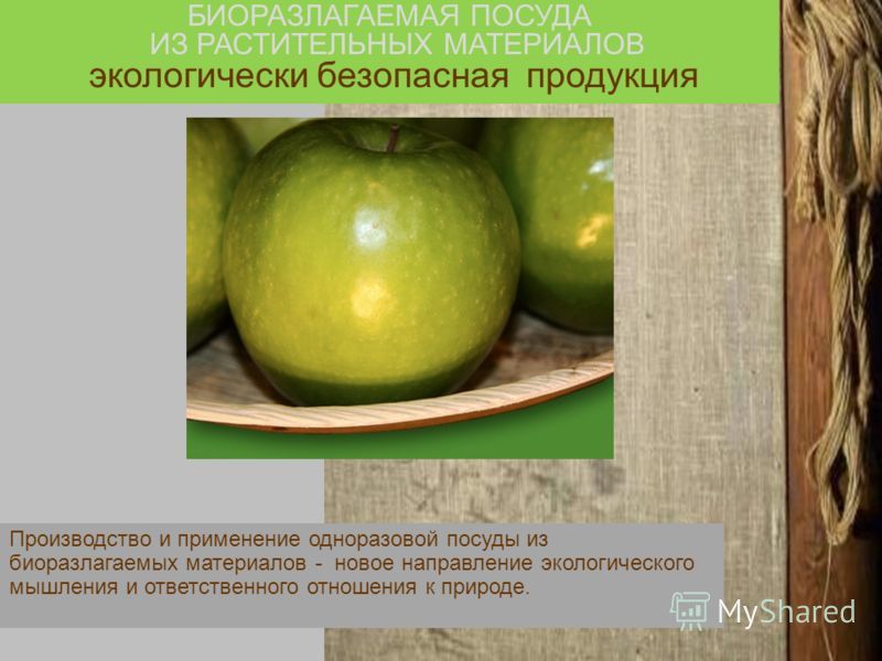 Ванны с использованием экологически чистых материалов забота о природе. Ванны с использованием экологически чистых материалов забота о природе.