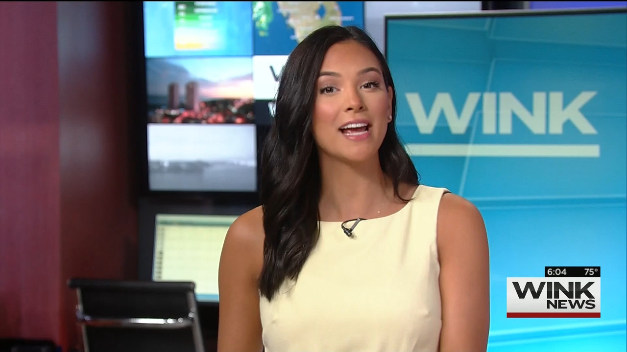 13 June - 11.00.00 - WINK News This Morning..ts_snapshot_00.07.49.427