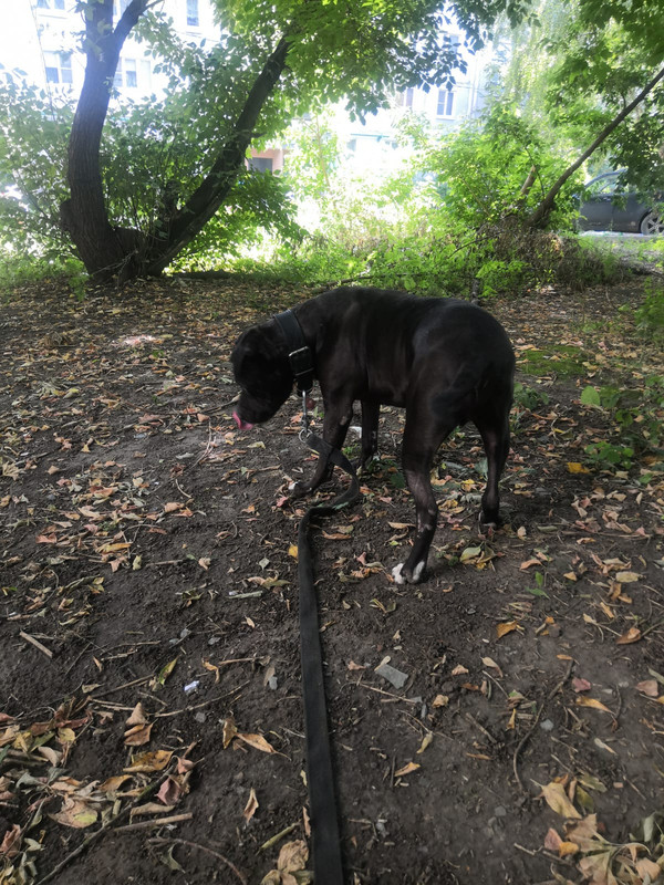 4FA52C31-981C-443F-AEA5-4BEC75B374BF