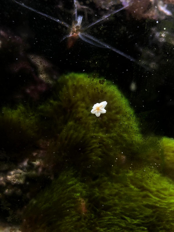 WhatsApp Image 2022-04-09 at 16.41.59 (1)