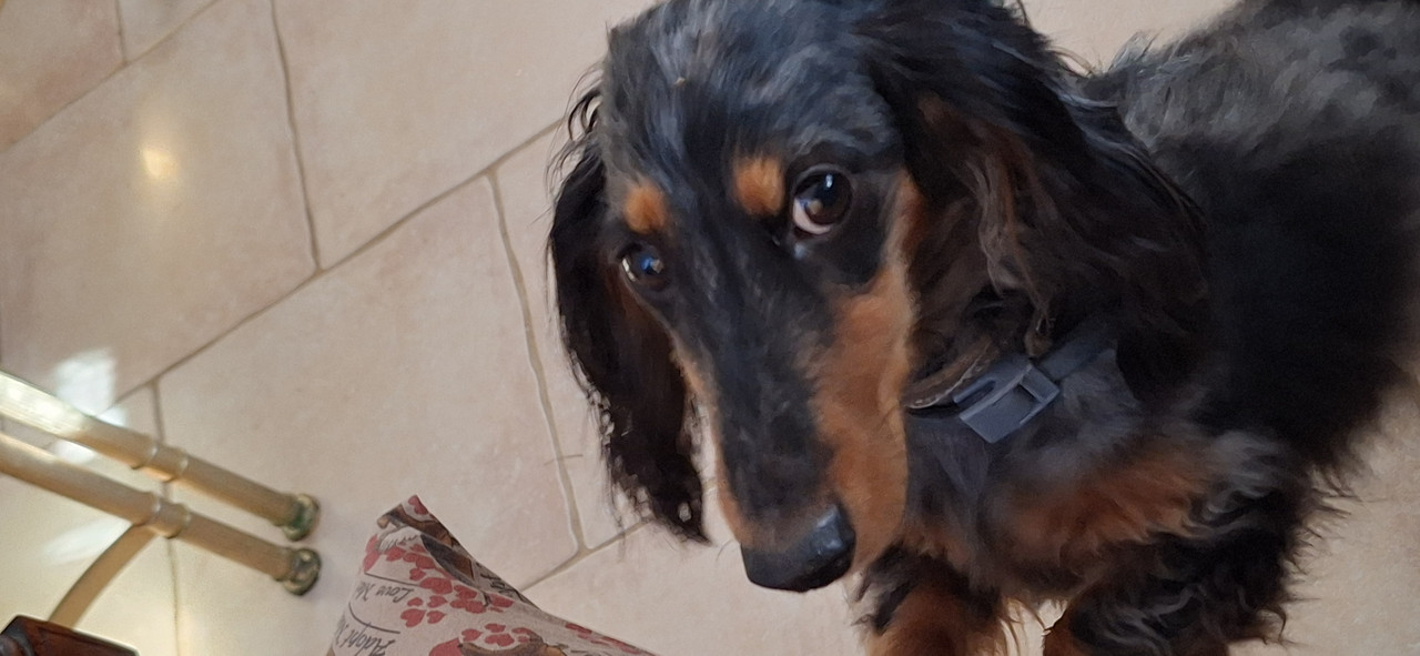 [Image: 20251126-133105.jpg]