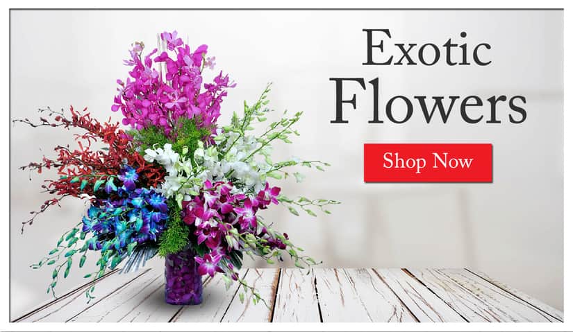 Bangalore Most Exquisite Online Flower Delivery