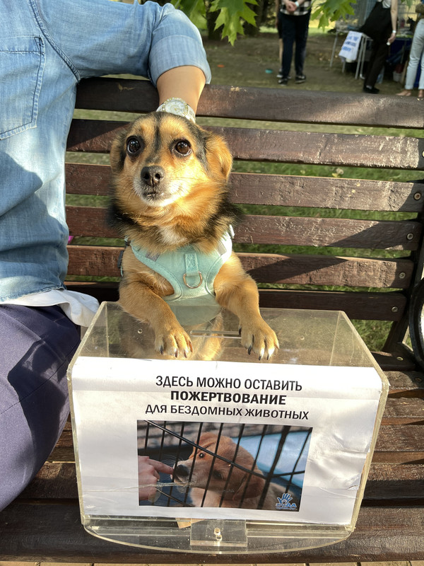 6C0374CB-0419-4B15-8E29-E7D99335281A