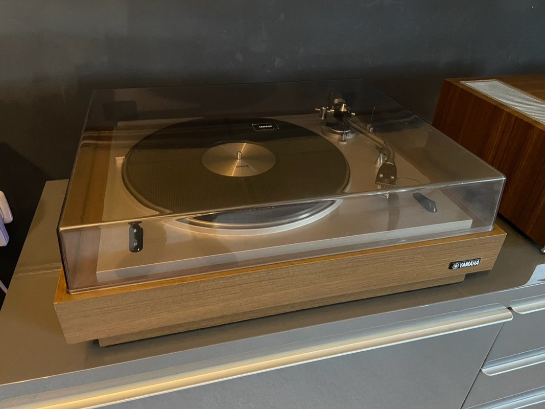 8CA039B9-496B-46BA-B380-276FE51CC026