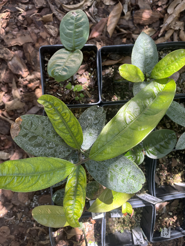 3A365D14-C984-44BA-A629-286A206B3817