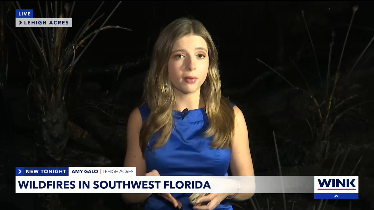 04.11 - 04.00.01 - WINK News at 11  ᴺᵉʷ. Local and regional news..ts_snapshot_16.48.063