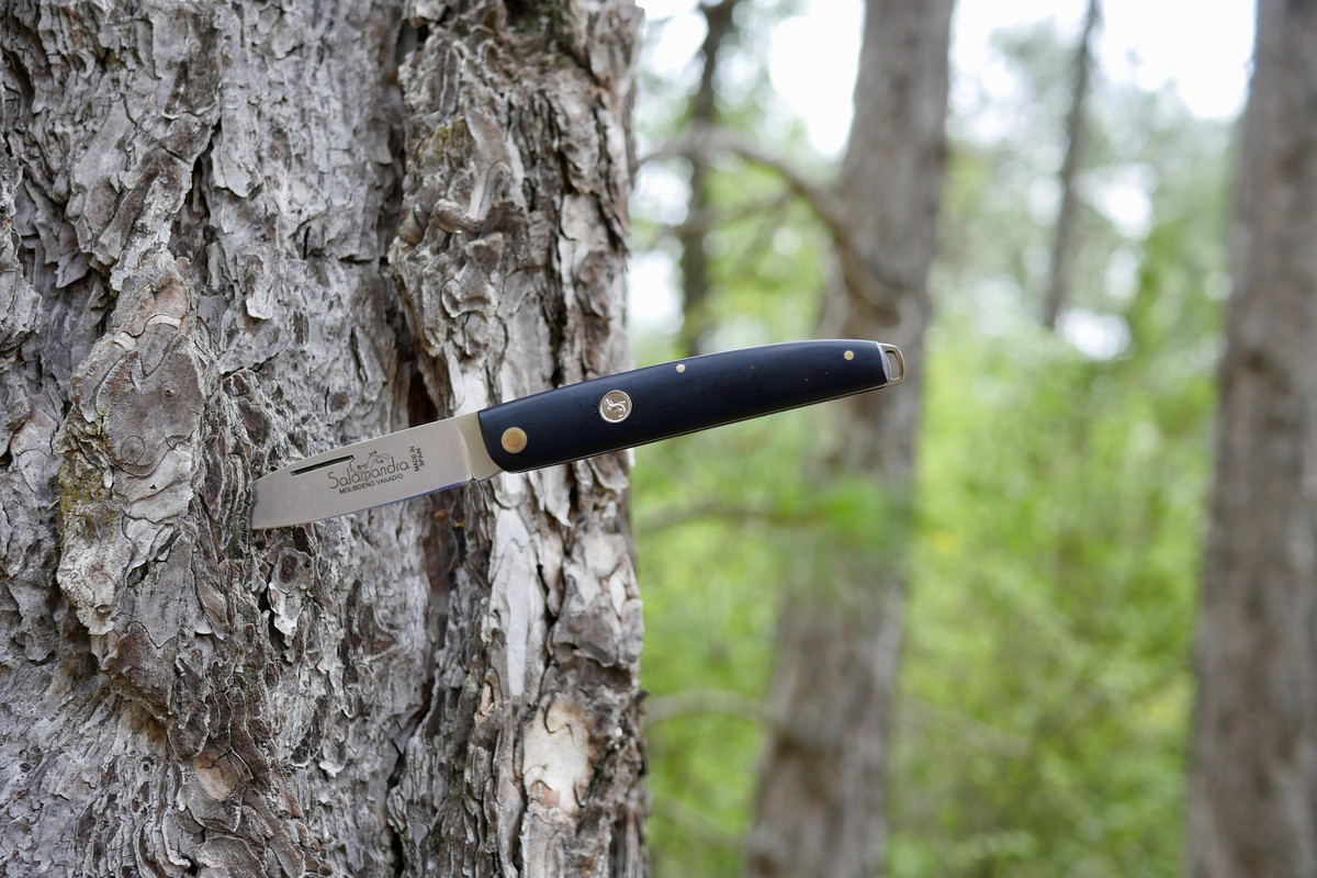 E8203D4A-7A49-462A-9192-061CC8D143F8