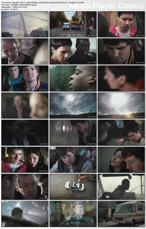 Roadkill (2011) 720p Thumbs