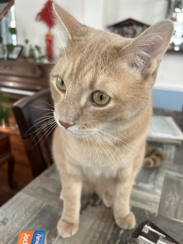 422287559_10232281501279527_4418617892330905156_n