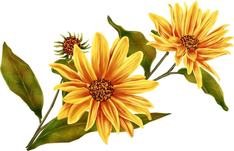 IPD_AH_Element (102)