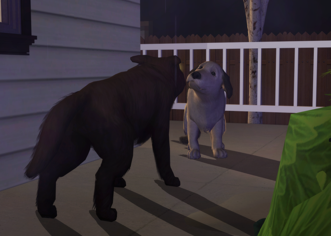 Sims2-EP9-RPC-2024-04-17-20-38-04-11