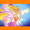 Two-DSir-Stel-Icon5
