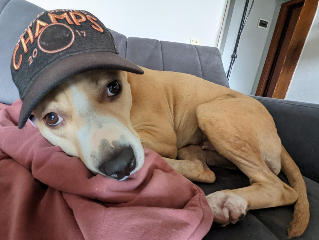 4539A9D8-9F6F-415A-903D-847B642B2DD9